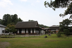 yX